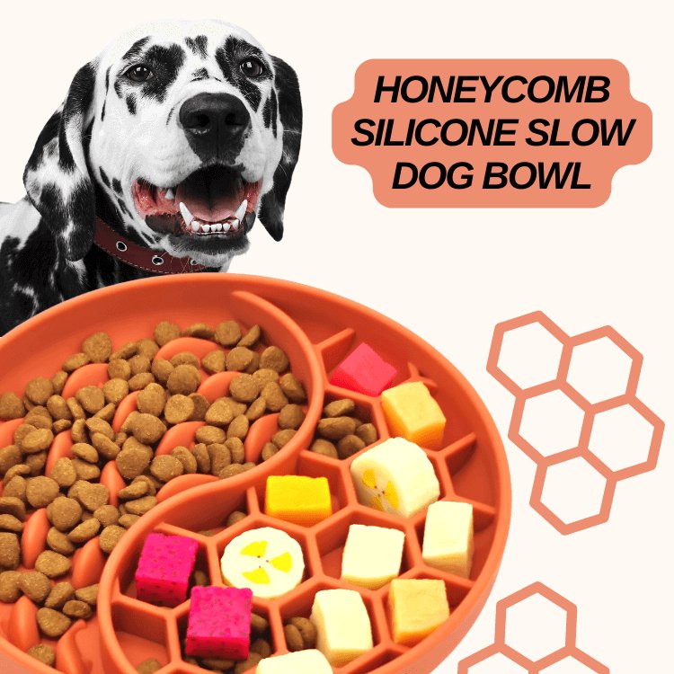 Slow Feeder Dog - malibudjango