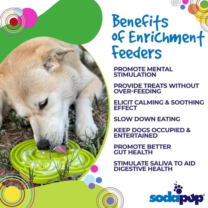 Unveil SodaPup's Water Frog Enrichment Tray, a green slow feeder made for dogs.