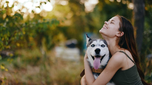 What Diet Should You Feed Your Dog? - malibudjango
