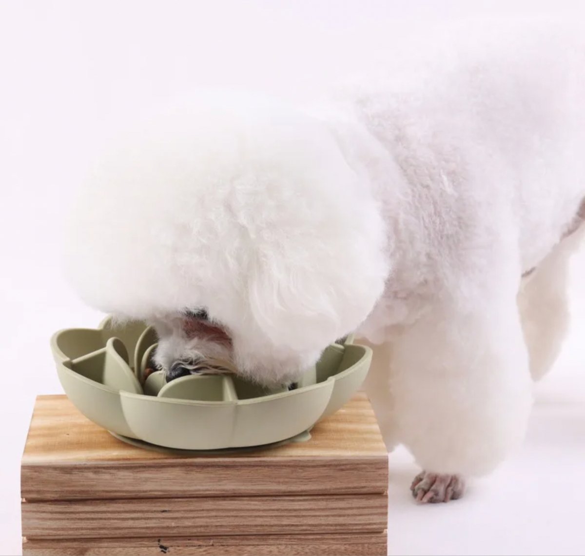 Dog Slow Feeder Flower - malibudjango