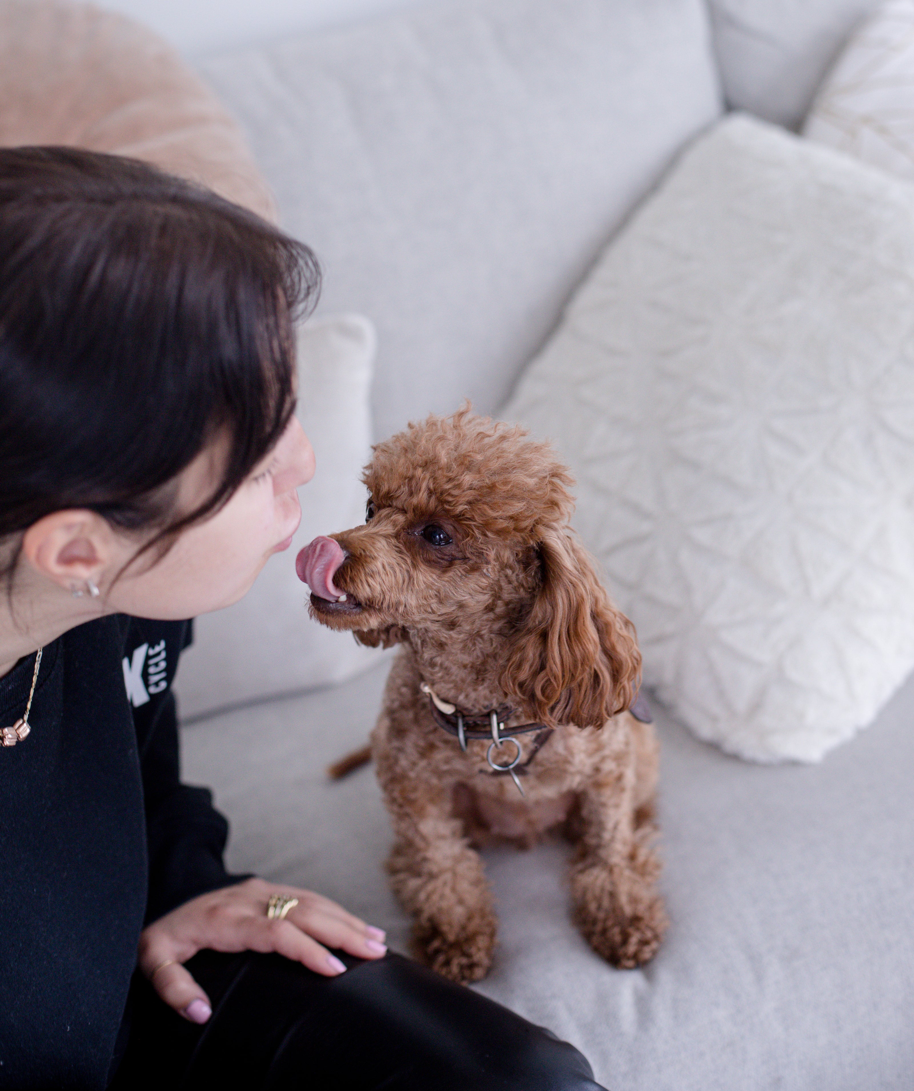 Joint Supplements for Dogs