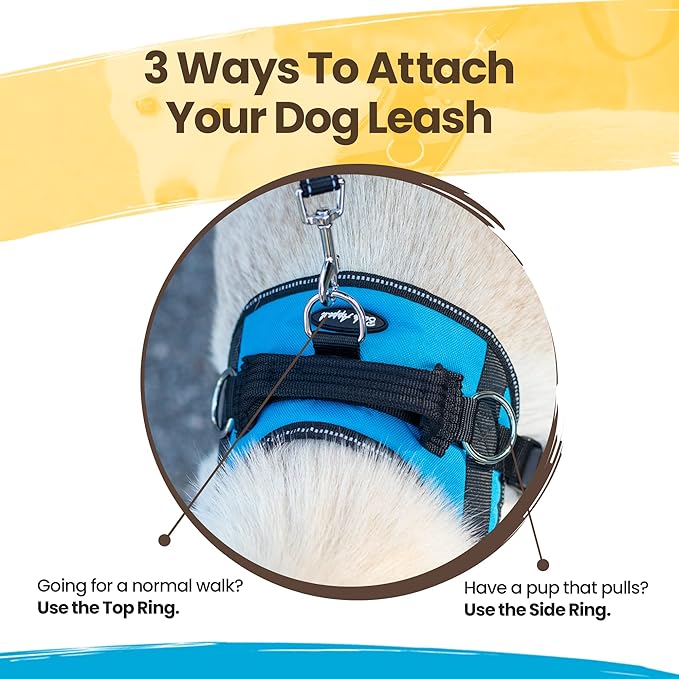 Uncover malibudjango's Reflective No-Pull Dog Harness, crafted with a handle and soft mesh lining for your dog's comfort. With sizes ranging from XS to XXL, it offers both control and comfort.