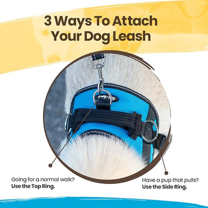 Uncover malibudjango's Reflective No-Pull Dog Harness, crafted with a handle and soft mesh lining for your dog's comfort. With sizes ranging from XS to XXL, it offers both control and comfort.