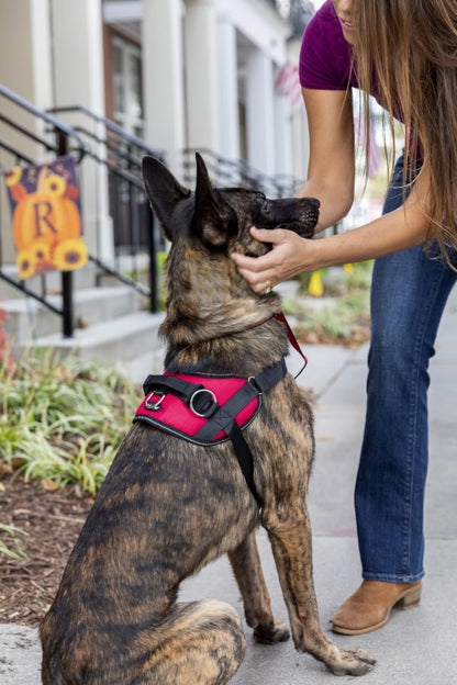 Introducing malibudjango's Reflective No-Pull Dog Harness, complete with a convenient handle and soft mesh lining. Available in sizes XS to XXL, it's designed to provide comfort and control for your furry companion.