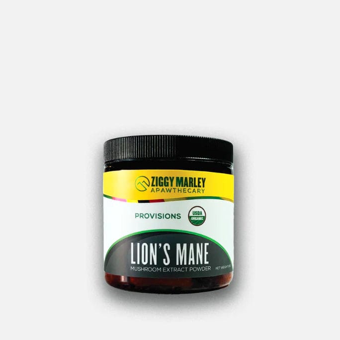 Unveil Romeo's Provisions Lion's Mane Mushroom Powder, tailored specifically for dogs by malibudjango.