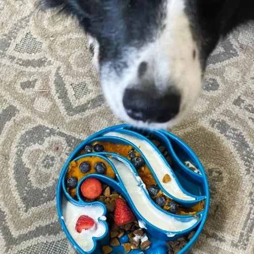 Slow Feeder Bowl for Dogs - Wave Design for Enrichment and Healthy Eating - malibudjango
