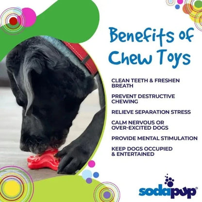 Meet malibudjango's Starfish Ultra Durable Nylon Dog Chew Toy, available in vibrant red for dogs weighing 15-80 lbs. Ideal for interactive play and built to withstand even the most aggressive chewers.
